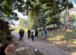Corso Giardiniere d'arte per giardini e parchi storici Scuola di Restauro ENGIM