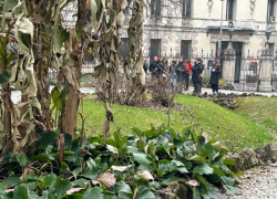 Corso Giardiniere d'arte per giardini e parchi storici Scuola di Restauro ENGIM