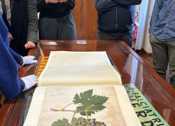 Corso Giardiniere d'arte per giardini e parchi storici Scuola di Restauro ENGIM