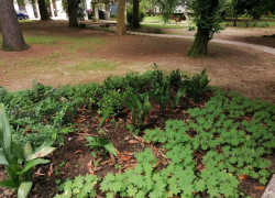 Corso Giardiniere d'arte per giardini e parchi storici Scuola di Restauro ENGIM