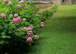 Corso Giardiniere d'arte per giardini e parchi storici Scuola di Restauro ENGIM