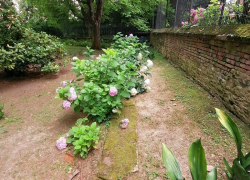 Corso Giardiniere d'arte per giardini e parchi storici Scuola di Restauro ENGIM