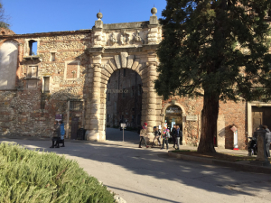 Teatro Olimpico 2019