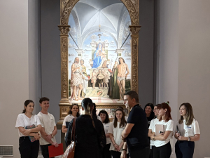 Manutenzione e monitoraggio delle collezioni del museo civico di Palazzo Chiericati